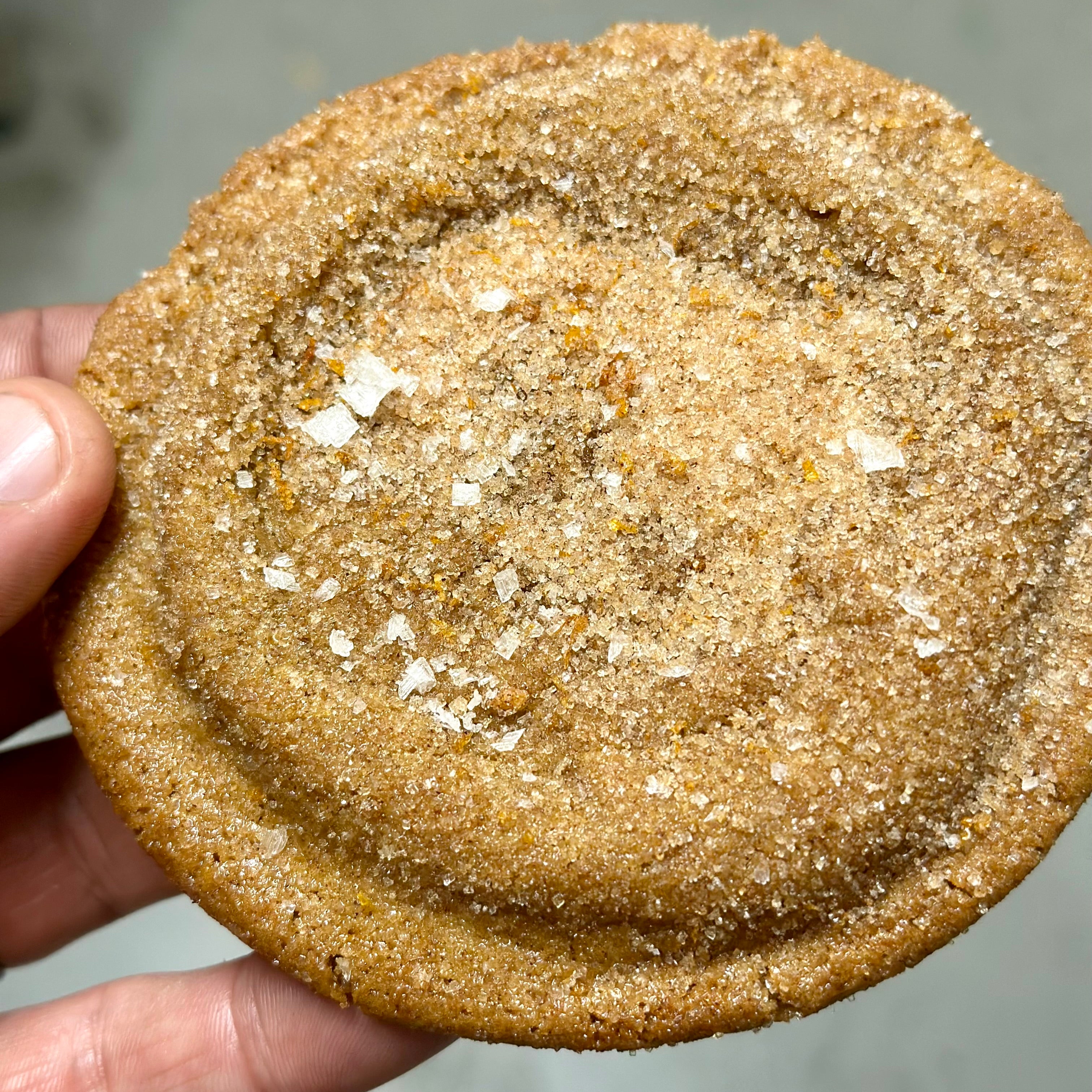 Best cookies in san diego, best cookies la jolla, orange blossom snickerdoodle, best snickerdoodle, cinnamon cookies, cinnamon rolls, perfect cookies, holiday cookies, best cookies carlsbad, best cookies encinitas, best cookies rancho santa fe, best cookies del mar, best cookies solana beach,